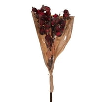 Vickerman 20" Red Artificial Dried Fruit Bunch.