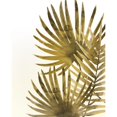 thumbnail image 3 of Kimberly, Allen 15x18 Black Modern Framed Museum Art Print Titled - Ferns 2, 3 of 5