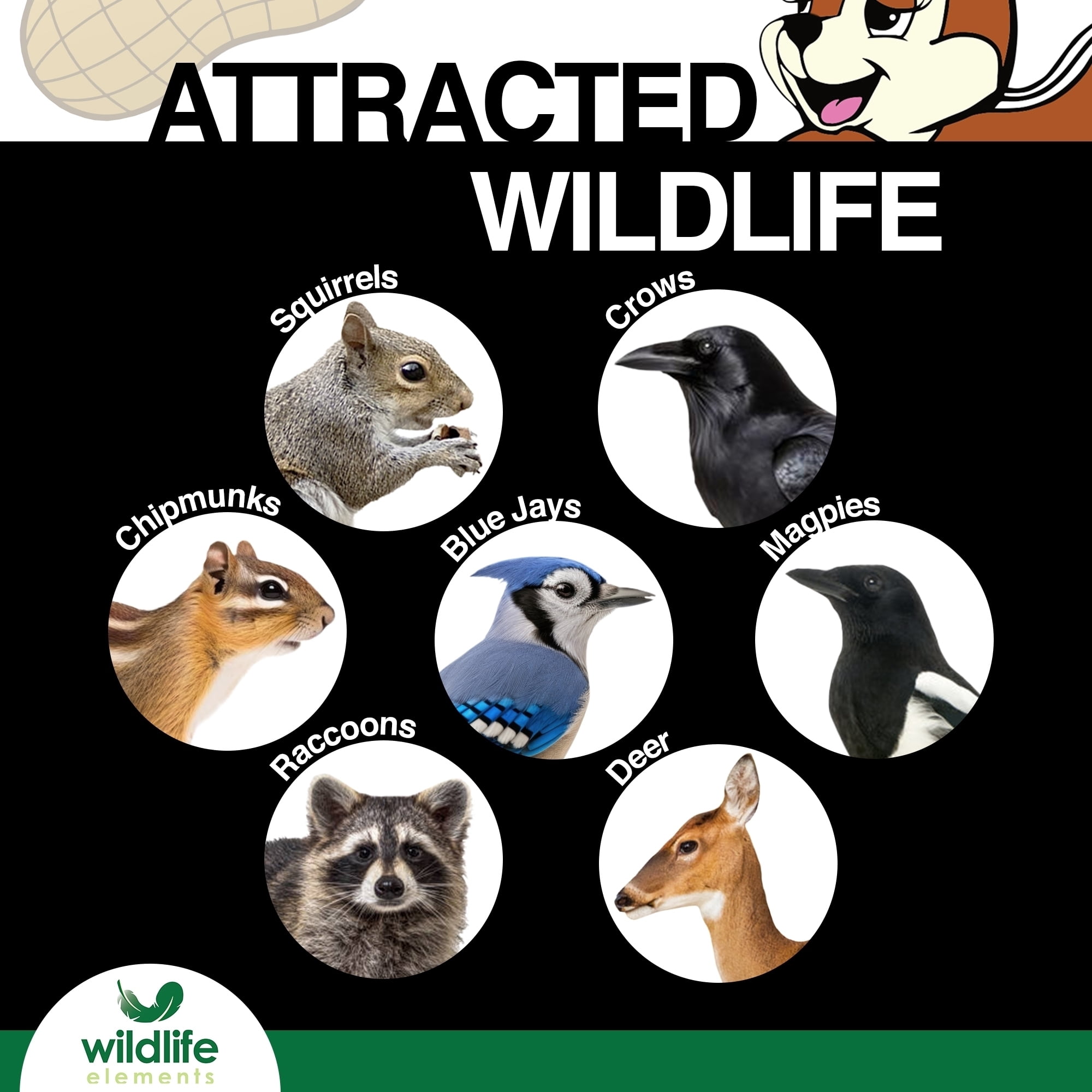Wildlife Elements Peanut Party Raw In-Shell Peanuts – Natural, Nutrient-Rich Wildlife Food for Birds, Squirrels & Waterfowl, 10lb