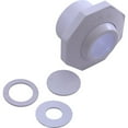 thumbnail image 2 of Pentair 542002 1-1/2-Inch Economy Insider Slip Inlet with Snap-in and Pressure Test Disks, White, 2 of 4