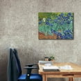 thumbnail image 3 of Epic Graffiti 'Irises' by Vincent van Gogh, Canvas Wall Art, 34"x26", 3 of 8