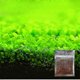 thumbnail image 2 of 50% Off New Aquarium Ornament Plant Seeds Fish Tank Landscape Decoration Water Grass Seed Easy To Grow, 2 of 5
