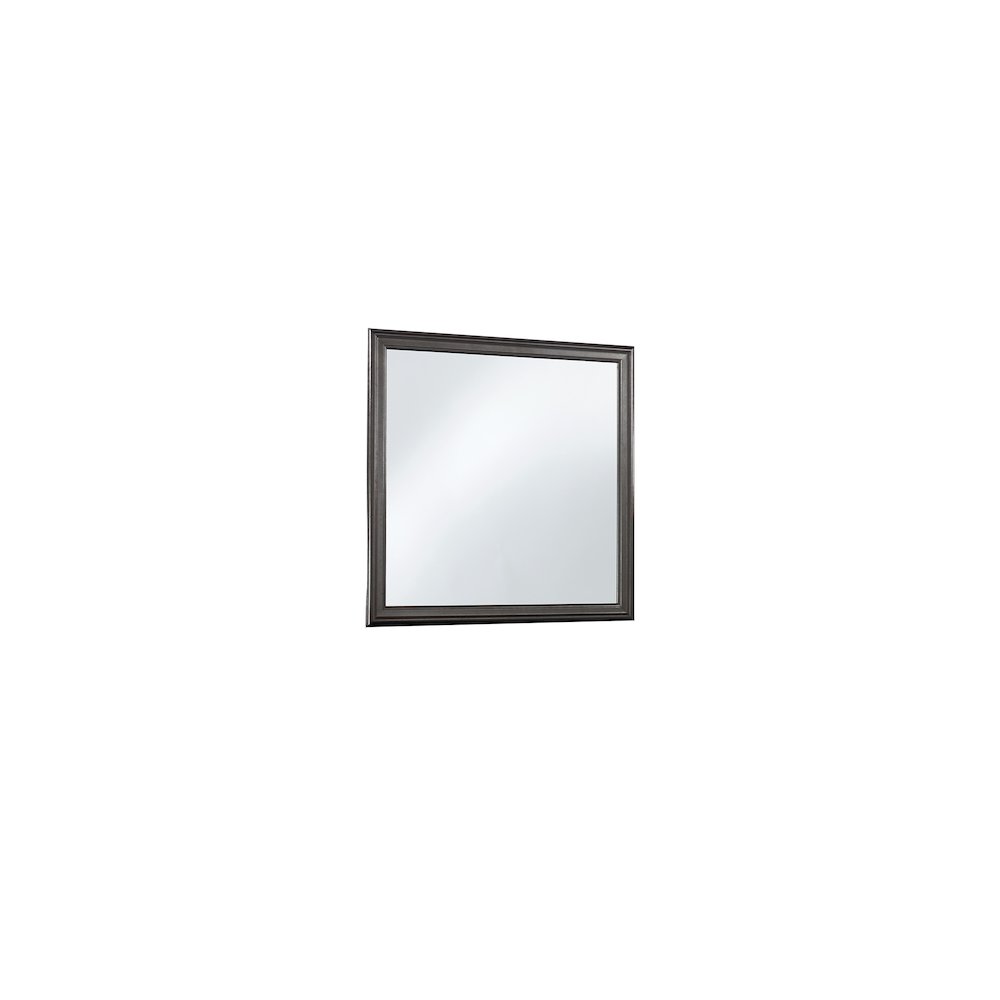 Global Furniture USA Traditional Glam Pompei Metallic Grey Mirror, Metallic Grey
