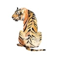 thumbnail image 3 of Goldberger, Jennifer 19x24 Black Modern Framed Museum Art Print Titled - Sitting Tiger II, 3 of 5