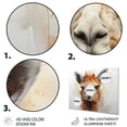 thumbnail image 3 of Designart "Alpaca Inquiring Gaze" Animals Metal Art Living Room, 3 of 5