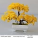 thumbnail image 5 of 2 Uds. BonsáI de Planta Artificial, Maceta de PláStico para áRbol PequeñO, Planta Falsa, Adornos en Maceta para Mesa de la HabitacióN del Hogar, Color, 5 of 5