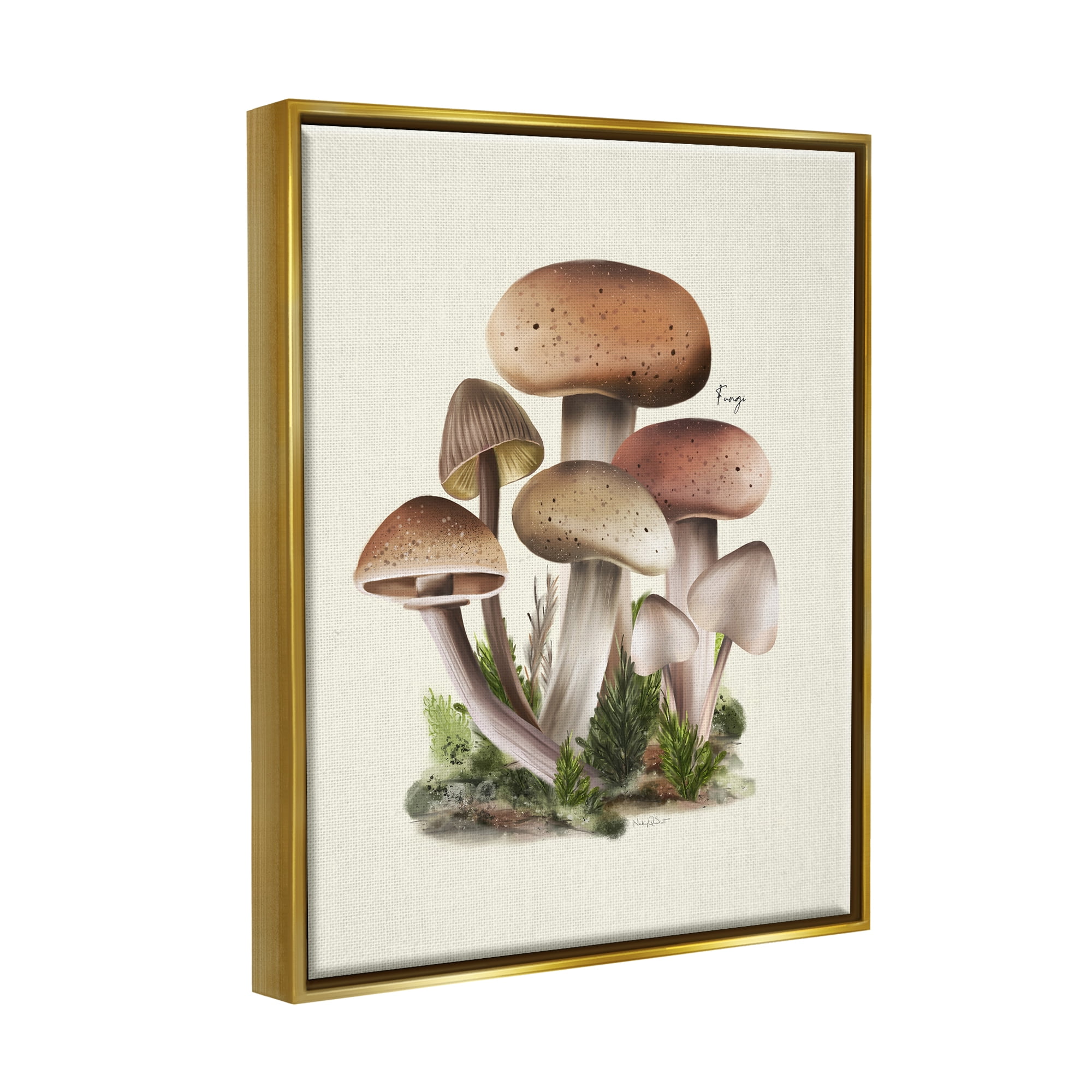 Stupell Industries Brown Woodland Mushrooms Botanical & Floral Painting Gold Floater Framed Canvas Art Print Wall Art, 25 x 31