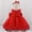 Red, variant on Baby Girls Dresses Pageant Baptism Lace Dress Bowknot Flower Wedding Christening Tutu Gown First Birthday Outfit