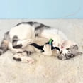 thumbnail image 3 of Interactive Squeaking Cat Toy Animal Shape Wrinkle Sound Soft Material for Cats Indoor Play Mental Physical Exercise Entertainment, 3 of 4