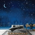 thumbnail image 3 of wall26 - Vector Winter Wonderland Night Background. - Removable Wall Mural | Self-Adhesive Large Wallpaper - 100x144 inches, 3 of 6