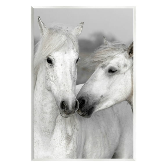 White Horse Kiss Wildlife Animals & Insects Photograph Unframed Art Print Wall Art