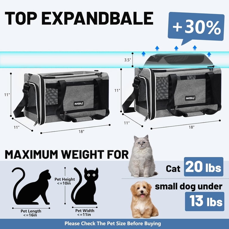 How to Travel With in Cabin Pets on United Cats: Ultimate Guide