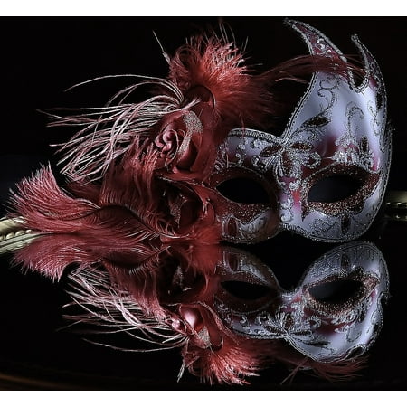 Venetian Feather - LAMINATED POSTER Light Painting Mask Feather Reflection Venetian Poster Print 24 x 36