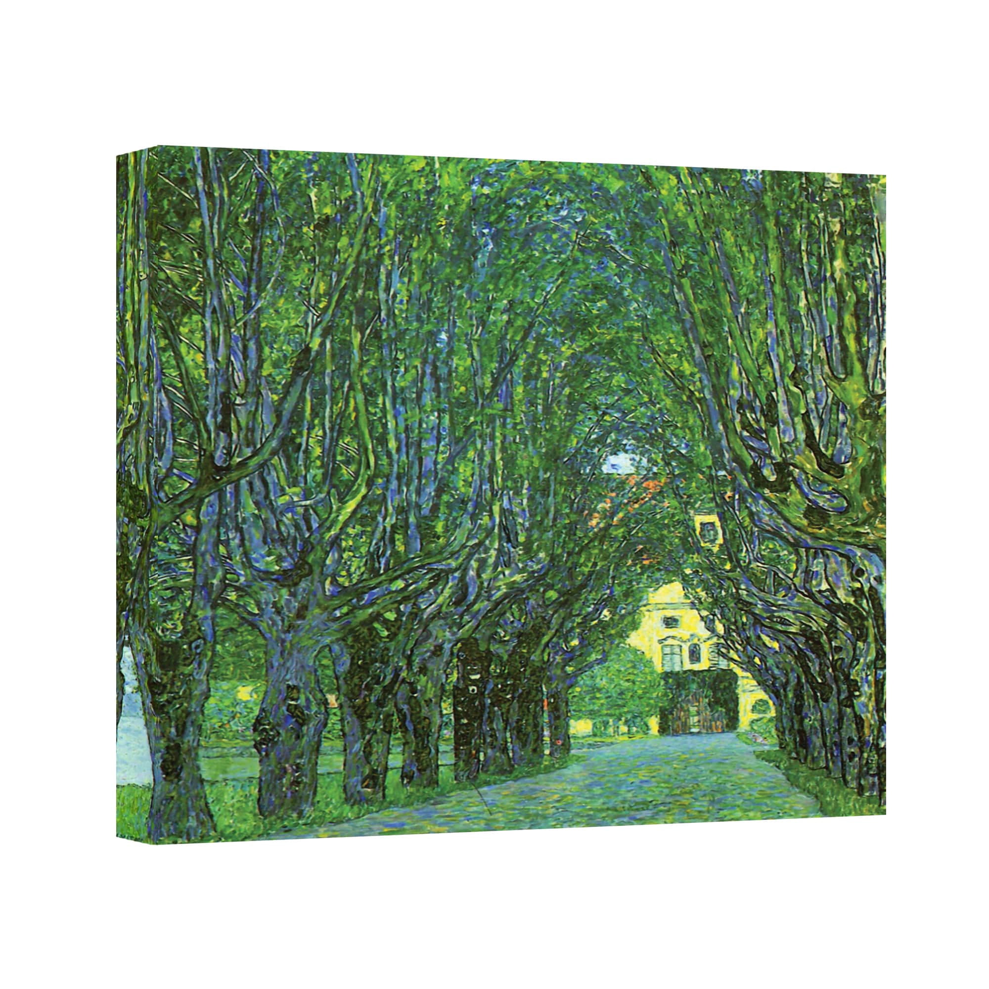Beeche Forest Gallery Wrapped Canvas
