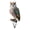 E, variant on OIUR Bird Garden Decor Stake Acrylic 2D Flat Bird Decoration Yard Art Weatherproof Bird Stake for Outdoors Lawns Patios