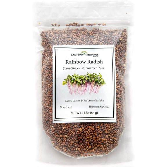 Rainbow Radish Sprouting Seeds Mix, 1 LB (16 oz) | Contains Red Arrow, Purple Triton & White Daikon Radish Seeds | Heirloom Non-GMO Seeds | Rainbow Heirloom Seed Co.