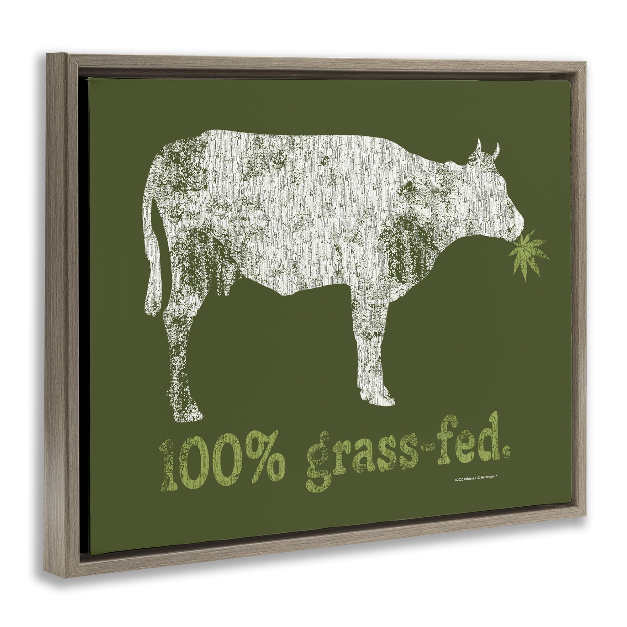 Stupell Industries Grass Fed Cow Animals Painting Brown Floater Framed Canvas Art Print Wall Art, 31 x 25