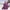 Purple, variant on 2024 New on Clearance Crossbody Pack Bag Sling Bag for Men Women Shoulder Backpack Chest Bags Crossbody Daypack with Earphone Hole for Hiking Camping Outdoor Trip