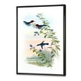 thumbnail image 3 of Designart 'Ancient Hummingbird II' Traditional Framed Canvas Wall Art Print, 3 of 5