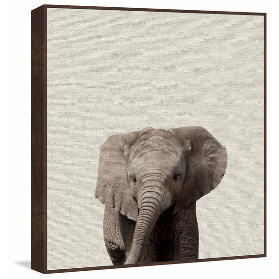 Marmont Hill Mh-Margio-8816-Dwffdl-16 16" X 16"