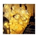 thumbnail image 2 of Tiras de Led 20 flores BELUG, 2 of 3