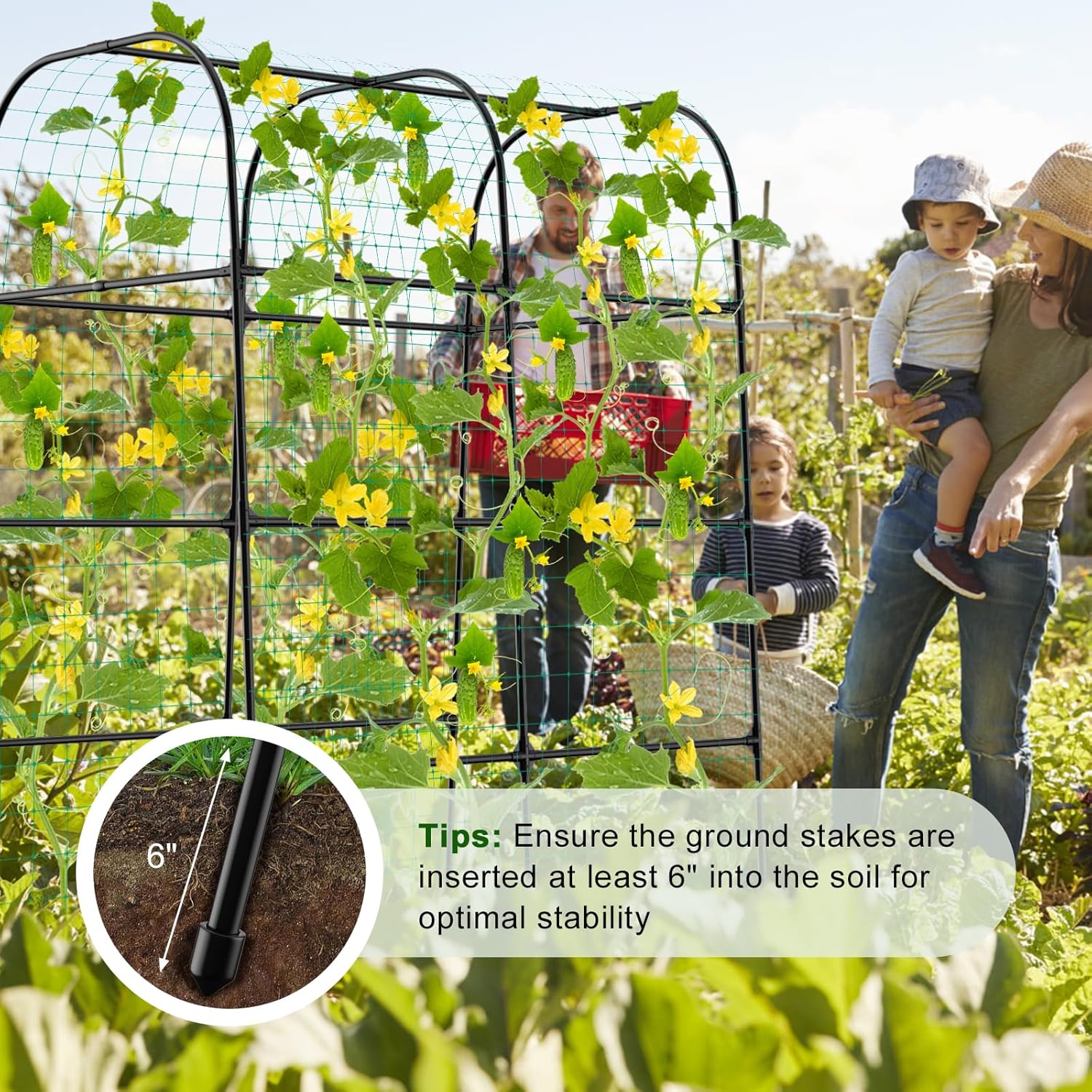 7ft Cucumber Trellis for Raised Bed, Garden Arch Trellis for Climbing Plants Outdoor Indoor, Metal Trellis Support with Net for Vegetables Tomato Zucchini Squash Beans Peas Melons,  Flowers,Vines