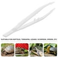 thumbnail image 4 of 2pcs Luminous Reptile Feeding Tongs - Long Handle Feeder Tools, 4 of 4