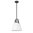 thumbnail image 5 of Z-Lite 1 Light Pendant, 5 of 8
