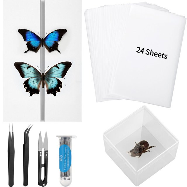 Insect Specimen Tools Kit, Butterfly Specimen Tools for Classroom Teaching, Including Insect Display Cases, Thin Tracing Papers, EVA Foam Pinning Boards, Insect Pins for Bugs Collection