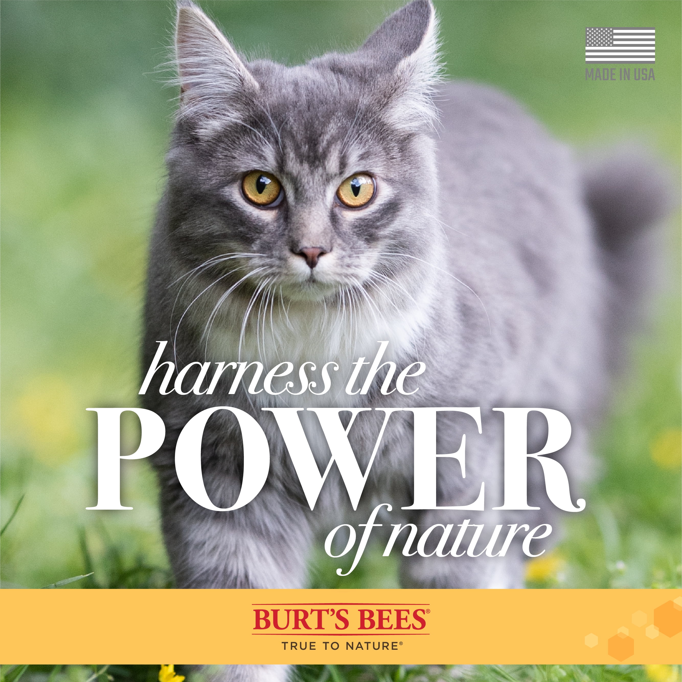 Burt's Bees Natural Cat Care Waterless Dry Shampoo with Shea Butter & Honey for Cats10 oz Spray