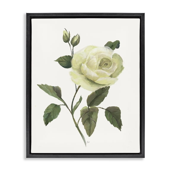 Stupell Industries Transitional Cream Garden Rose with Buds Black Floating Frame Canvas Art, 17 x 21, by Nan