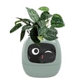 thumbnail image 3 of Uinagy Smart Plant Electronic Flower Pot, 3 of 3