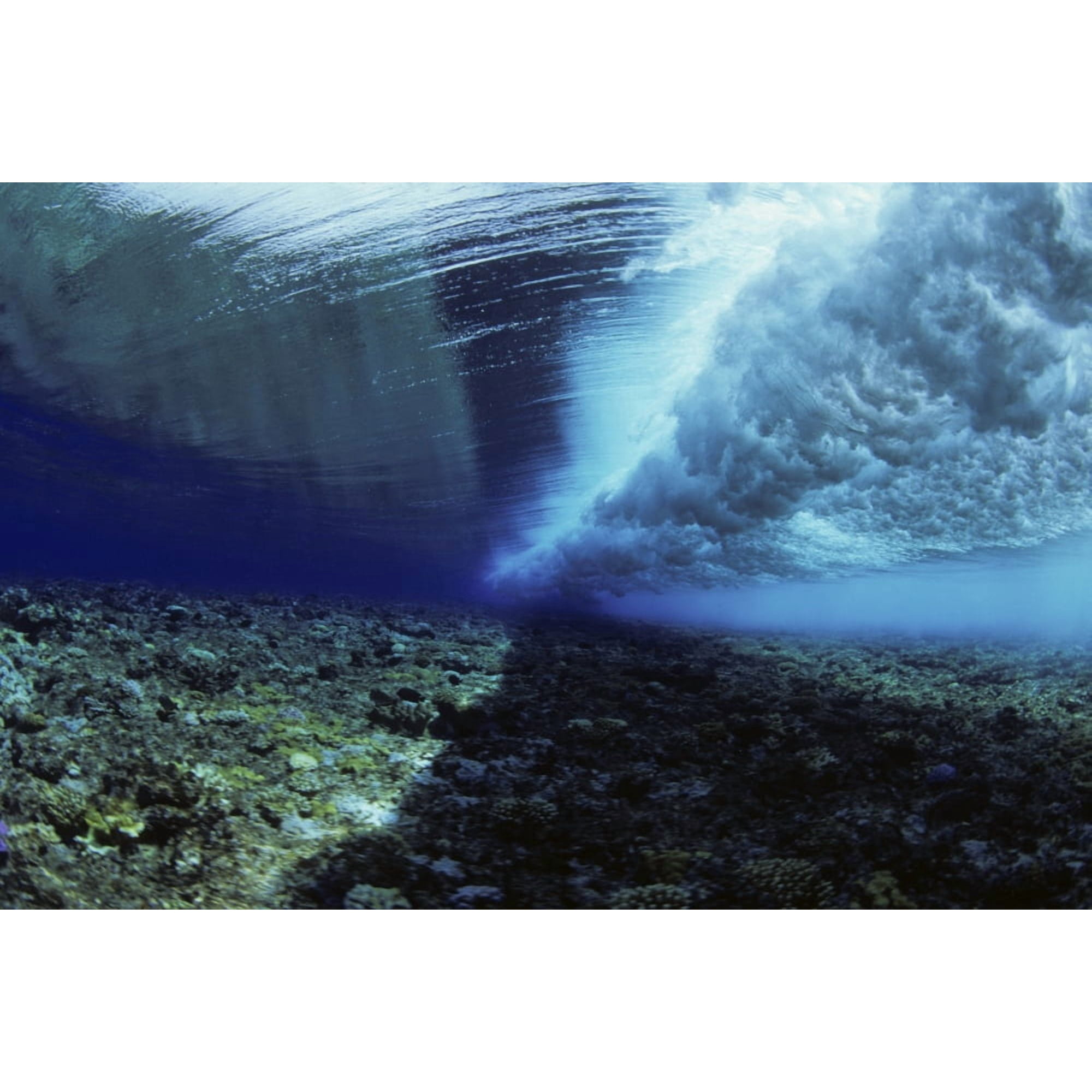 Micronesia Ocean swell seen from underwater over reef Yap Canvas Art - Dave Fleetham Design Pics (17 x 11)