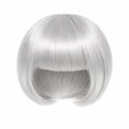 thumbnail image 2 of Pet Wig for Cats, Cute Colored Hairpiece for Christmas Photos, Holiday Parties, Cosplay & Birthday Dress-Up, Adjustable Wig for Small Pets (1PC, Gray), 2 of 8