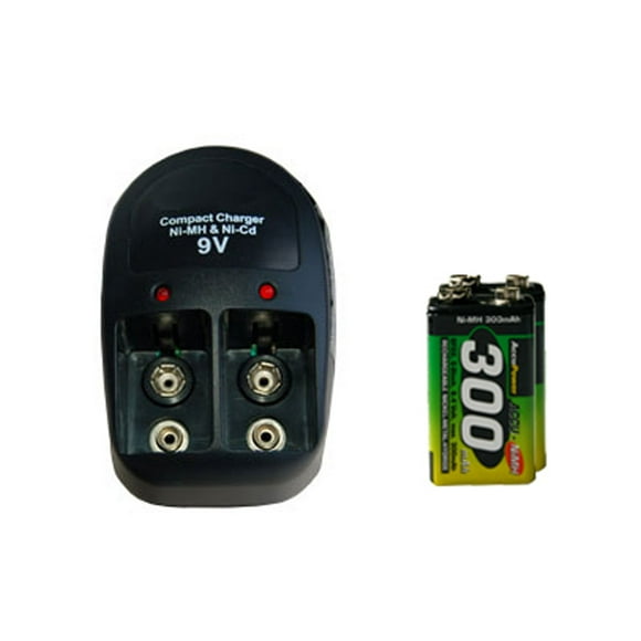 V-228 Deux Baies Chargeur 9 Volts + 2-Pack 9 Volts AccuPower Batteries NiMH (300 mAh)