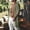 Green, variant on Men's Summer Beach Kimono Shirt Short Half Sleeve Chiffon Open Front Shirt Solid Color Lightweight Sun Protection Casual Long Cardigan Size 3XL White
