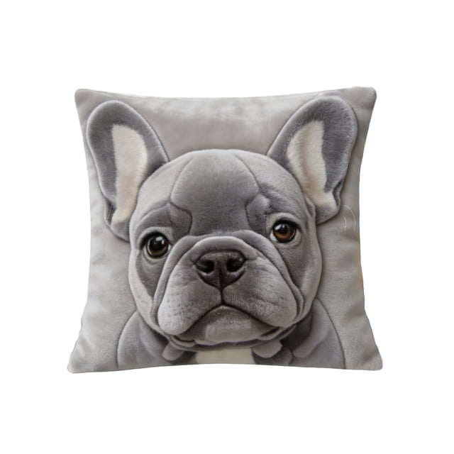 SLYNSHome Housse de Coussin de Ferme Animaux Décoratifs d'Été pour Décoration Intérieure Extérieure