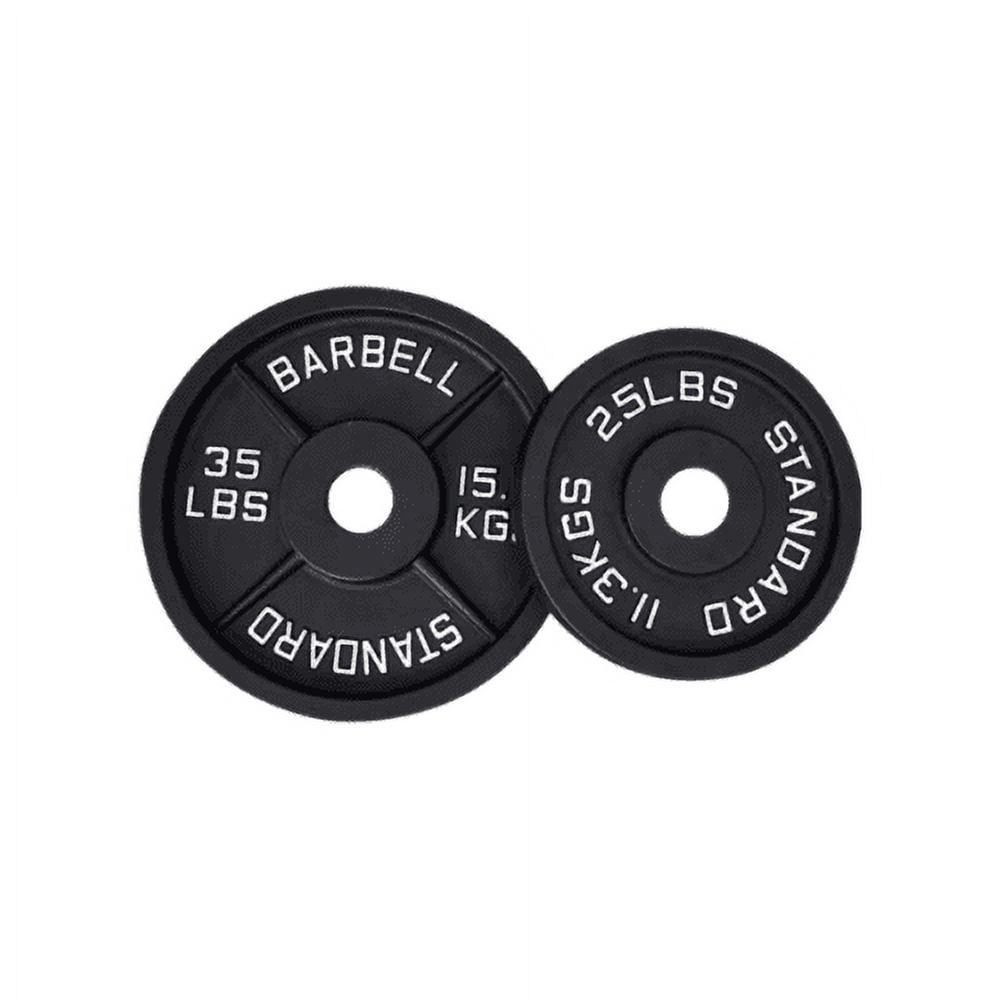 Everlast 45lb 2024 olympic weight plates