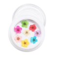thumbnail image 1 of 3D Real Dry Acrílico Nail Decoración con caja 10 jinwen  Flor seca de uñas, 1 of 8