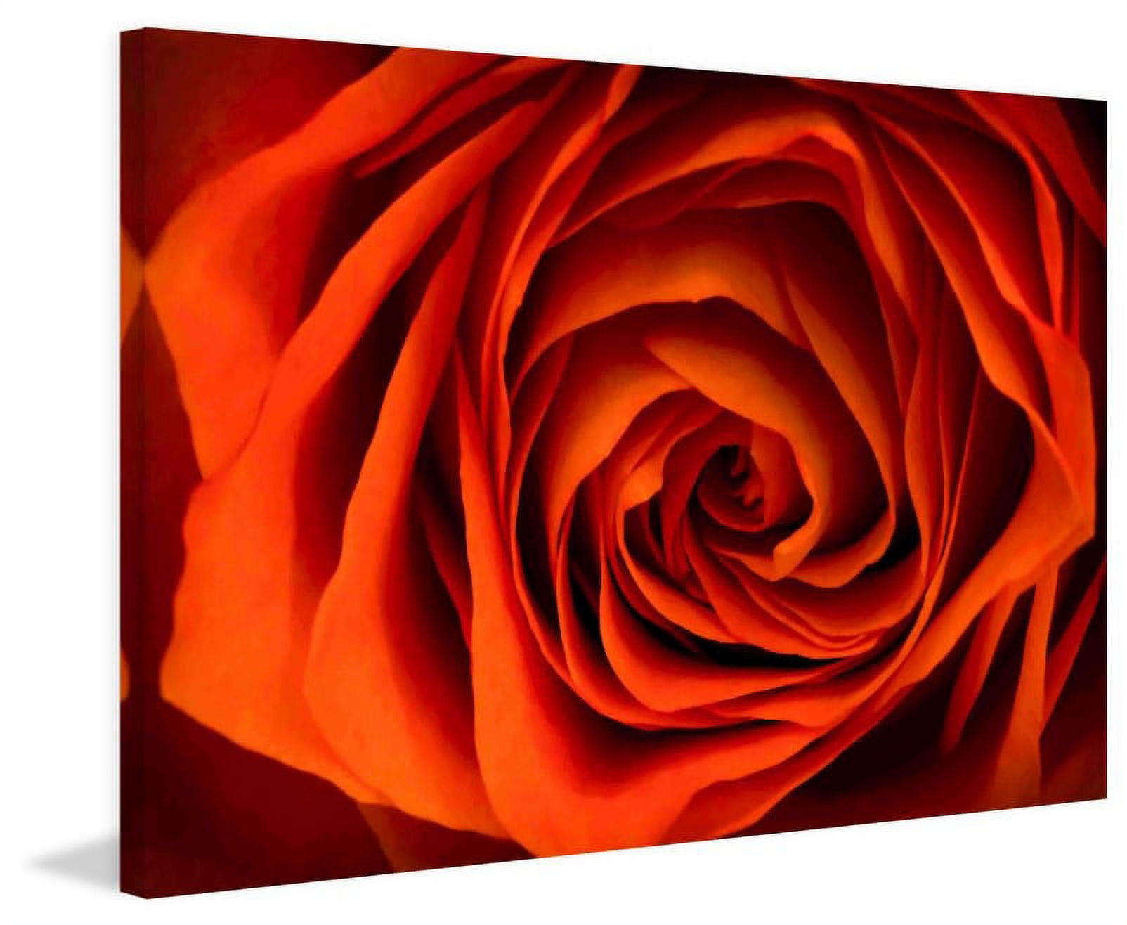 Marmont Hill "Inner Beauty" Painting Print on Canvas