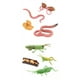 thumbnail image 1 of Juego de crecimiento de insectos para niños CUTICAT, 1 of 8
