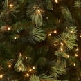 thumbnail image 2 of Árbol de Navidad National Tree Company Carolina Pine 7.5 pies, 2 of 6