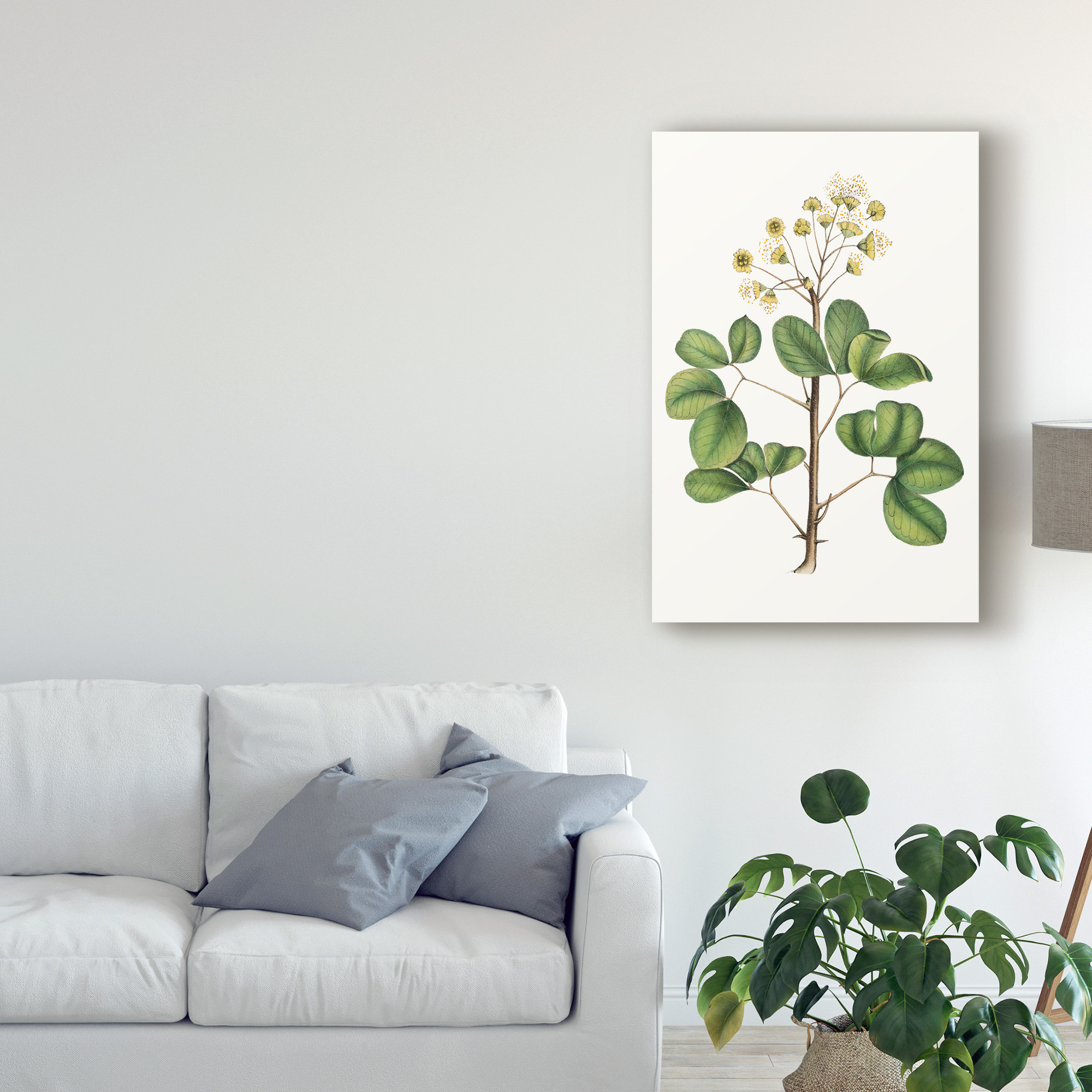 Trademark Fine Art 'Foliage & Blooms IV' Canvas Art by Thomas Nuttall