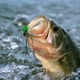 thumbnail image 2 of Señuelo de pesca en forma de dado - Señuelos blandos de PVC de 10 piezas, señuelos para bagre y salmón de hundimiento lento, montaje hecho a mano y casero, cebo de black bass de alta densidad, 2 of 5