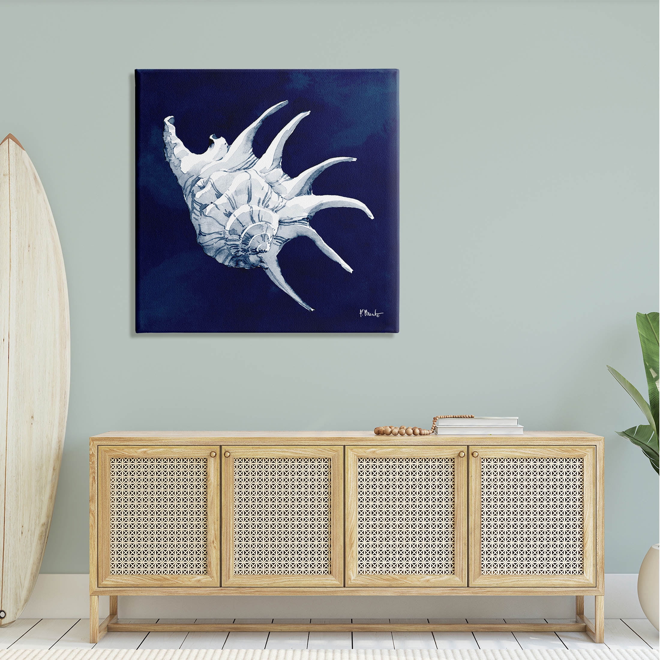 Stupell Industries Cyanotype Shells Traditional Conch Graphic Art Gallery Wrapped Canvas Print Wall Art, Design by Paul Brent