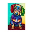 thumbnail image 4 of maskred 1/2/3/5 Rhinestone Painting 5D Colorful Dog Pictures Crystal DIY Drawing -stitch Embroidery Stitchwork 35*25CM 1pcs 5PCS, 4 of 6