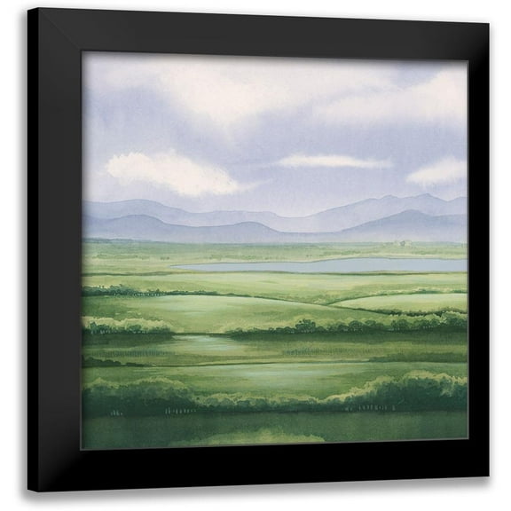 Popp, Grace 12x12 Black Modern Framed Museum Art Print Titled - Sunkissed Meadow I