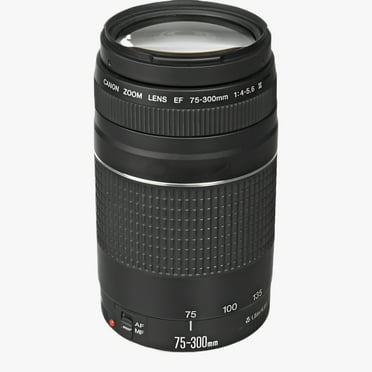 Canon EF 75-300mm F/4-5.6 III Lens