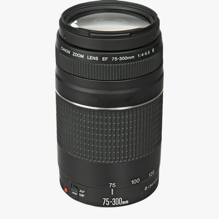 Canon EF 75-300mm F/4-5.6 III Lens