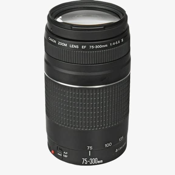 Canon EF 75-300mm F/4-5.6 III Lens